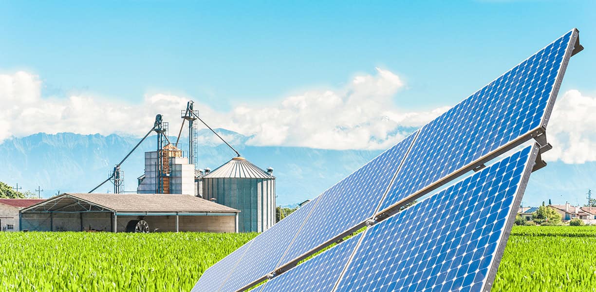 Sisteme montaj Agro PV 2 Sisteme montaj panouri fotovoltaice Agro PV